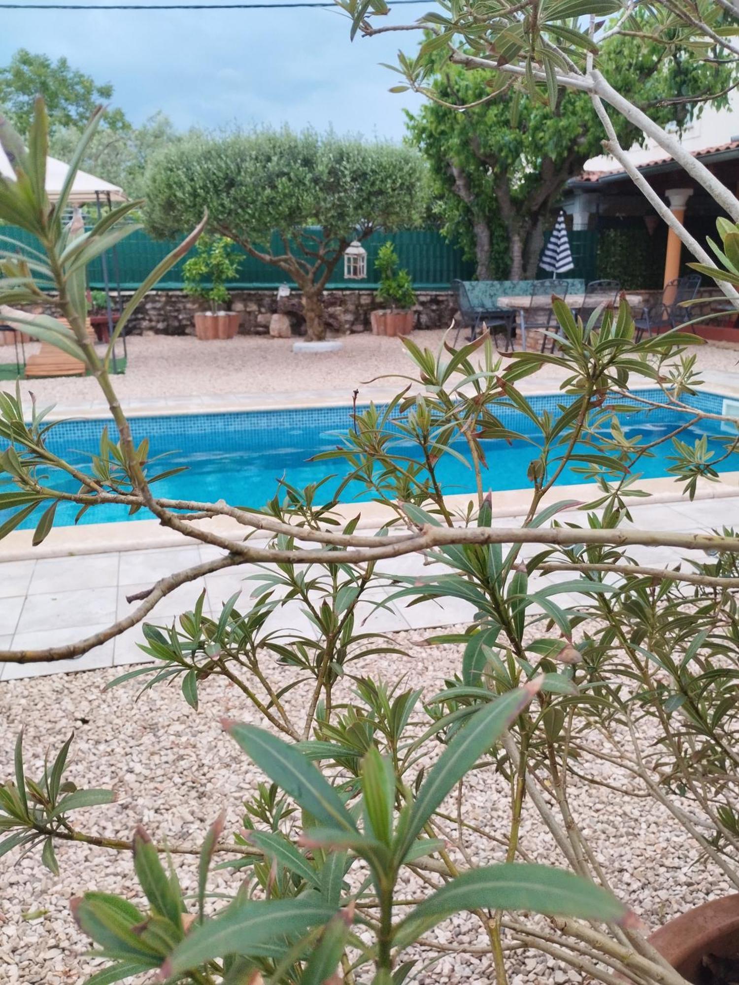 Villa Lucky Brtonigla Esterno foto